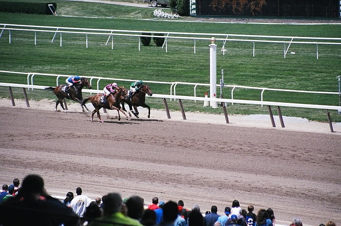 Belmont Stakes payouts from Belmont Park