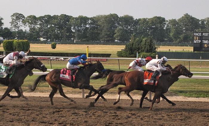 Belmont Stakes odds