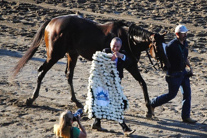 Tonalist features among 2014 Belmont Stakes results