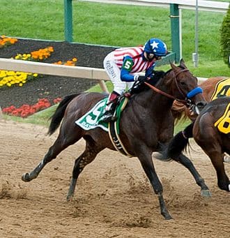 Bayern is one of the Woody Stephens Stakes winners