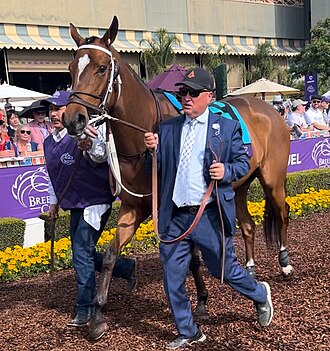 Clairiere won the Ogden Phipps Stakes twice