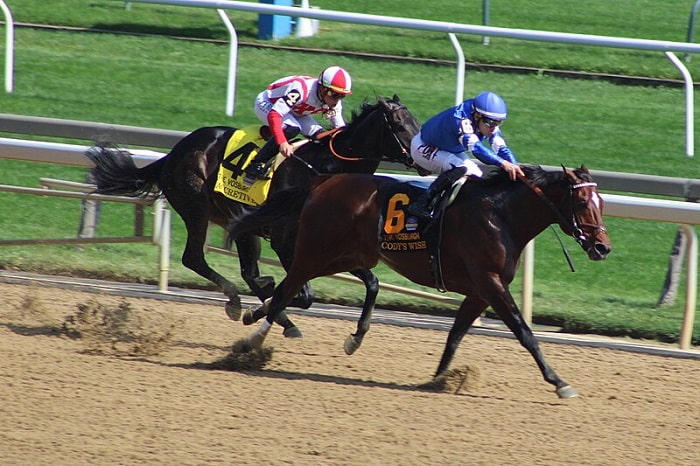 Cody's Wish won the Metropolitan Handicap in 2023