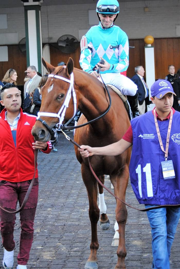 Monomoy Girl won the Acorn Stakes in her career