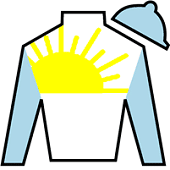 RyZan Racing silks