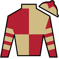 Heart Of Honor silks