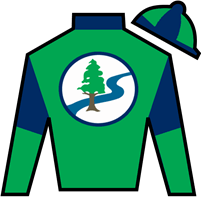 Bless The Broken silks