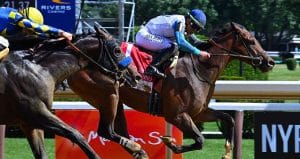 True North Stakes 2025 preview