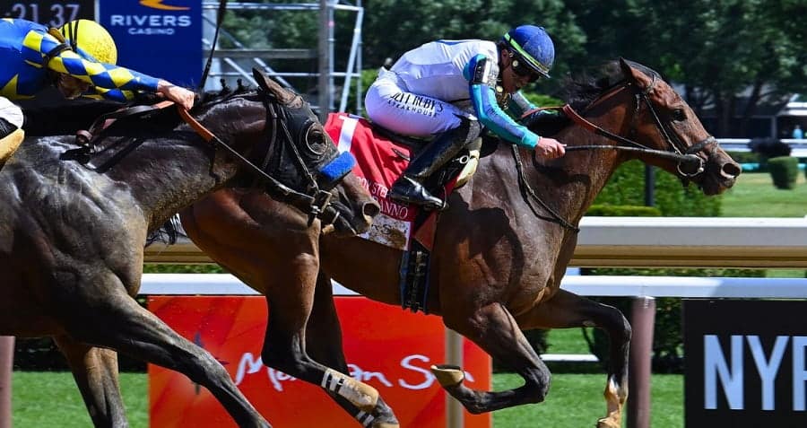 True North Stakes 2025 preview