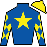 Citizen Bull silks