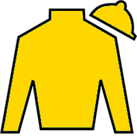 Claiborne Farm silks