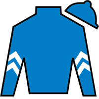 Good Cheer silks