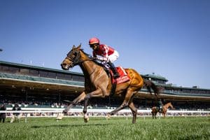 Nitrogen favored in Wonder Again Stakes 2025