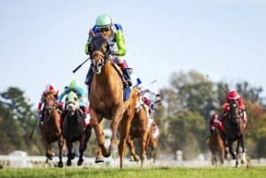 She Feels Pretty New York Stakes 2025 preview
