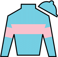 Spirit Of St Louis silks