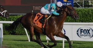 Zulu Kingdom favored for Pennine Ridge Stakes 2025