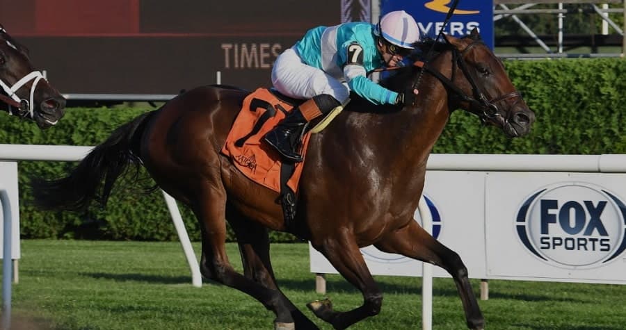 Zulu Kingdom favored for Pennine Ridge Stakes 2025