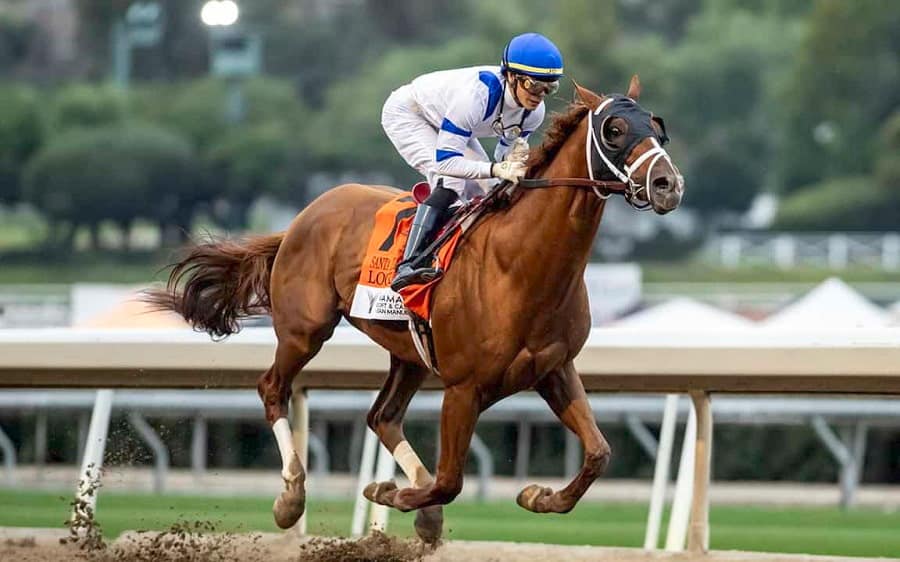 Locked runs in Suburban Stakes 2025
