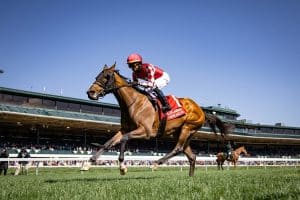 Nitrogen favorite for Belmont Oaks 2025
