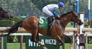 Forego Stakes 2025 preview includes Book'em Danno