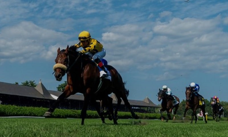 Sword Dancer Stakes 2025 preview features Far Bridge