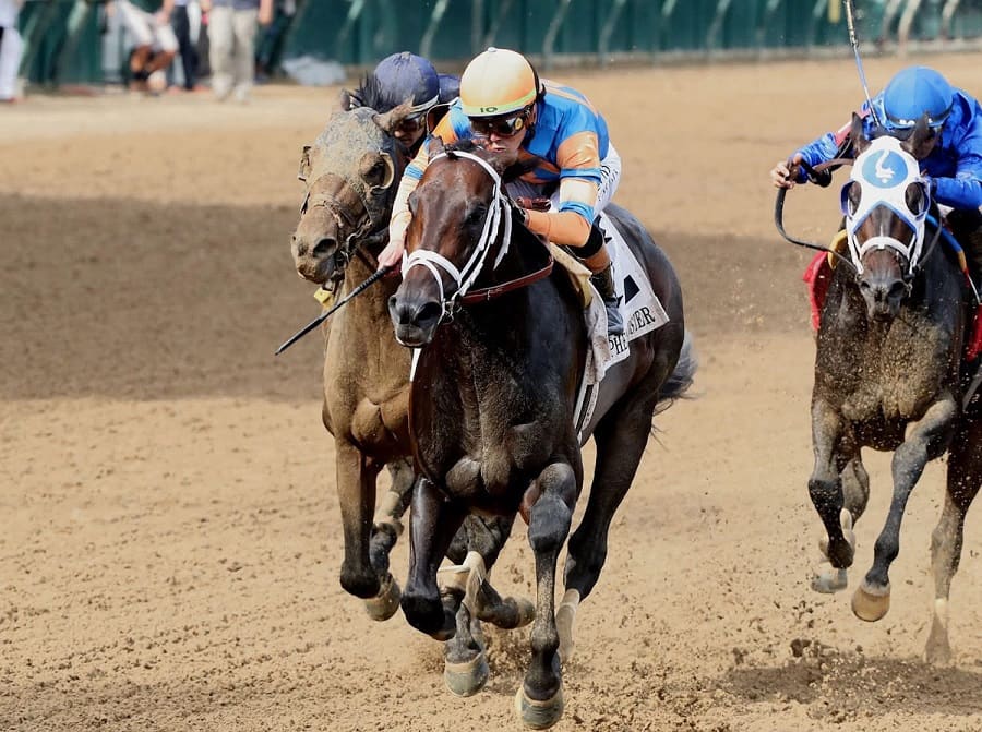 Whitney Stakes 2025 preview includes Mindframe and Sierra Leone