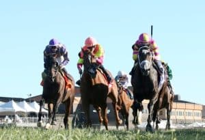 Kentucky Turf Cup 2025 preview features Grand Sonata