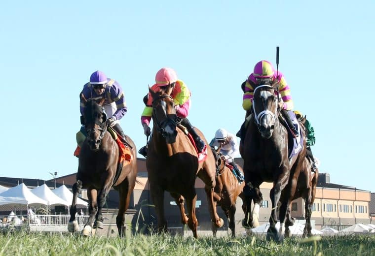 Kentucky Turf Cup 2025 preview features Grand Sonata