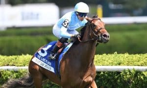 Winter Memories Stakes 2025 preview includes May Day Ready