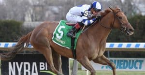 Sycamore Stakes 2025 preview includes Anglophile