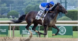 Breeders Cup Classic 2025 preview features Sovereignty