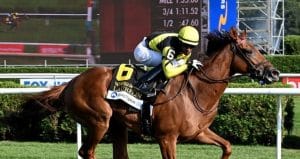 Jockey Club Oaks 2025 preview includes Laurelin