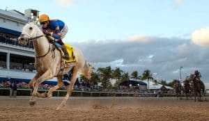 Pegasus World Cup 2026 preview includes White Abarrio
